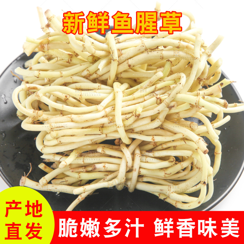 盘子里装着湖北鱼腥草