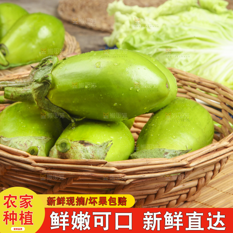 篮子里装着青皮茄子