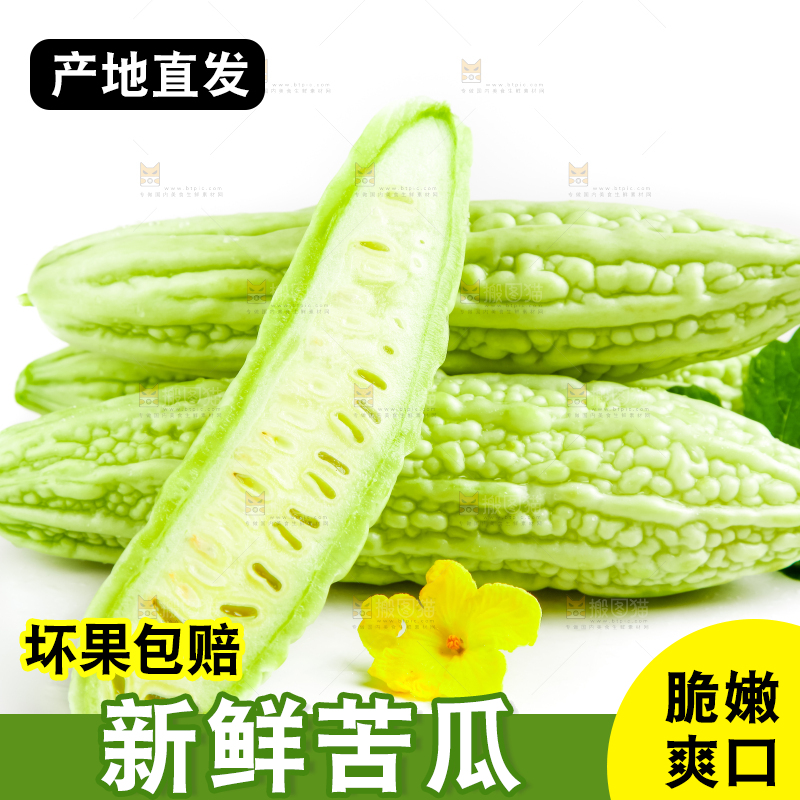 白底上摆放着新鲜苦瓜
