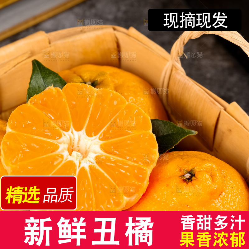 篮子里装着四川丑柑