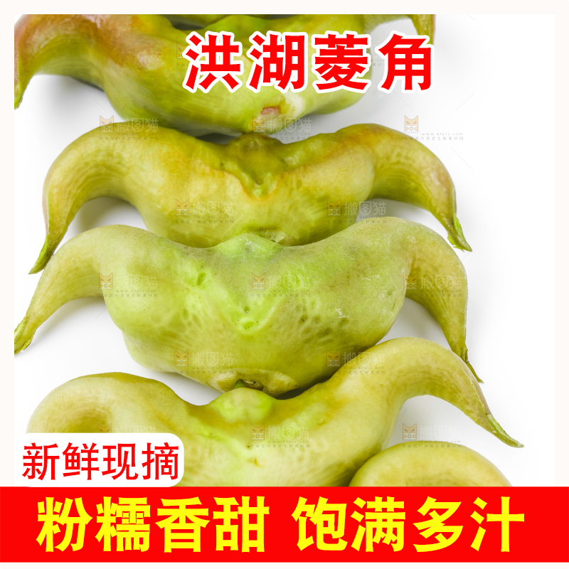 浅底上的新鲜菱角