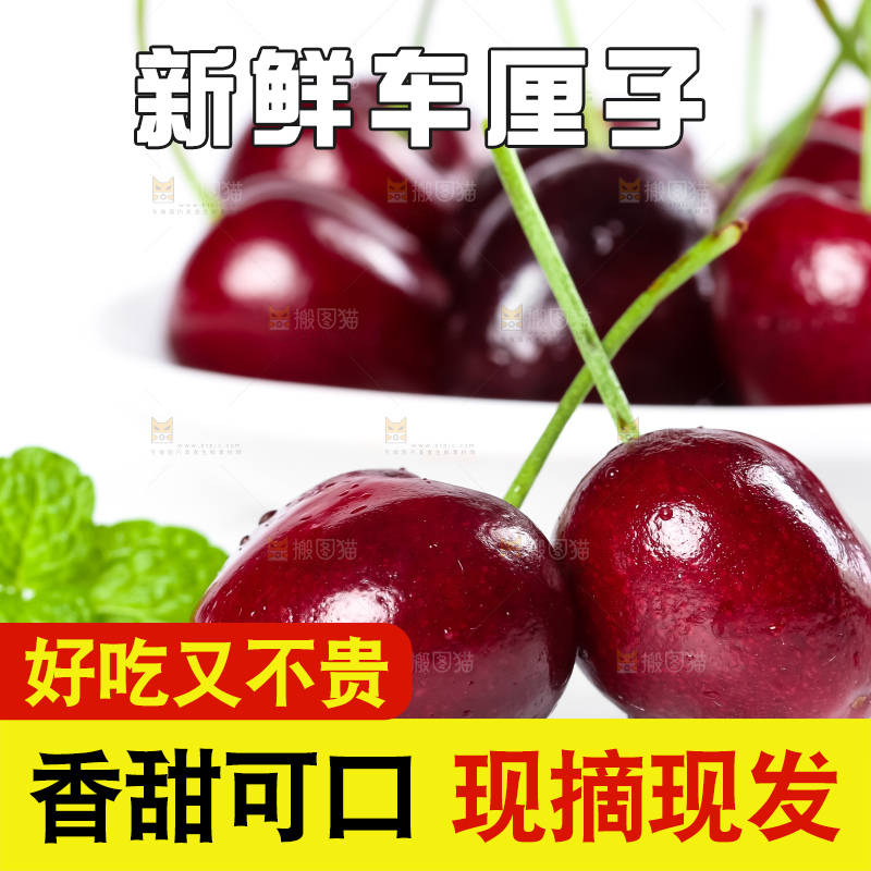 白底上的新鲜车厘子