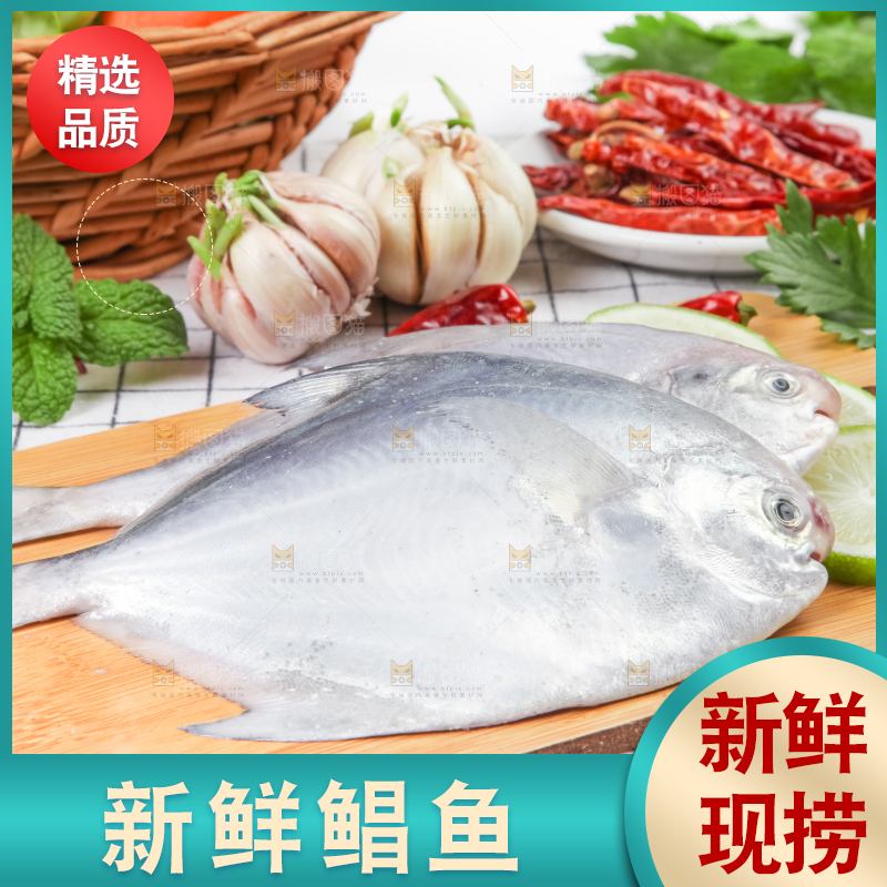 木板上放着银鲳鱼