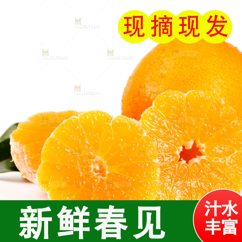 白底上放着耙耙柑