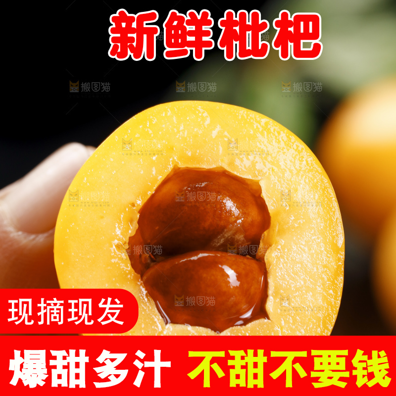 黑底上的米易枇杷