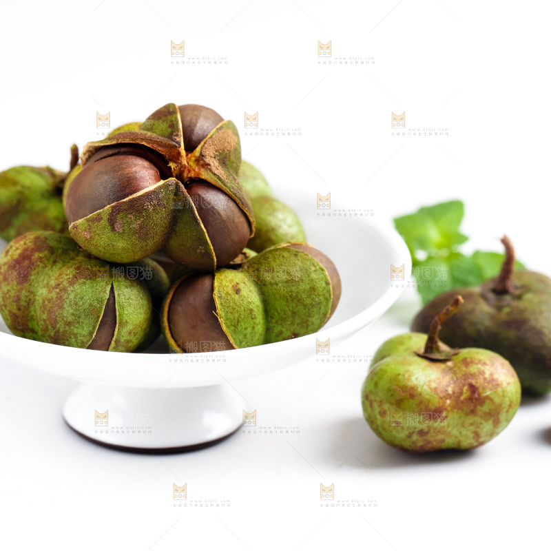 白底上摆放着茶树果