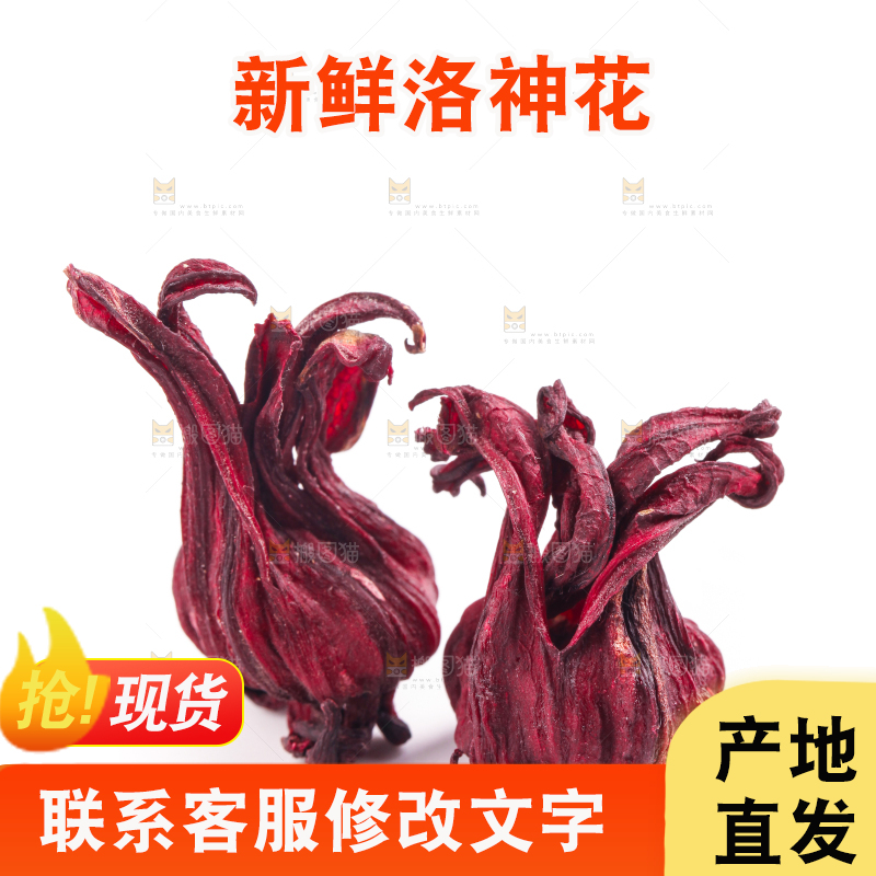 白底上的玫瑰茄