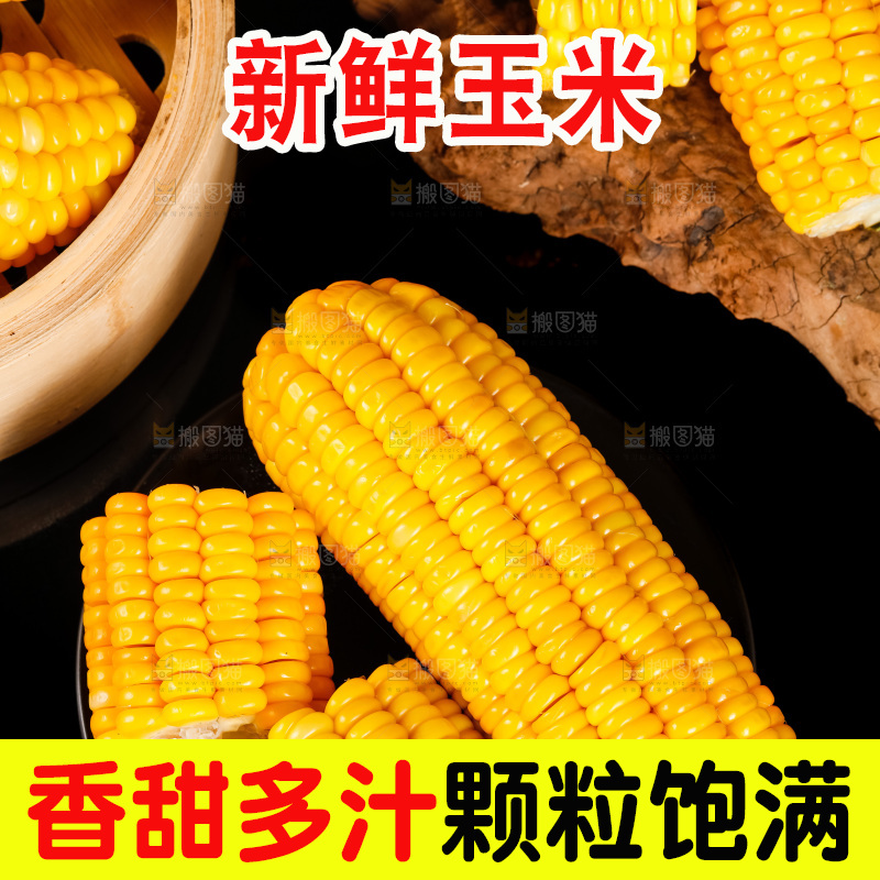 深底上的东北玉米