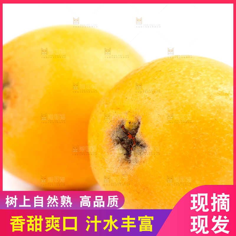 白底上放着攀枝花米易枇杷