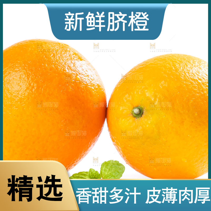 白底上的高山甜橙