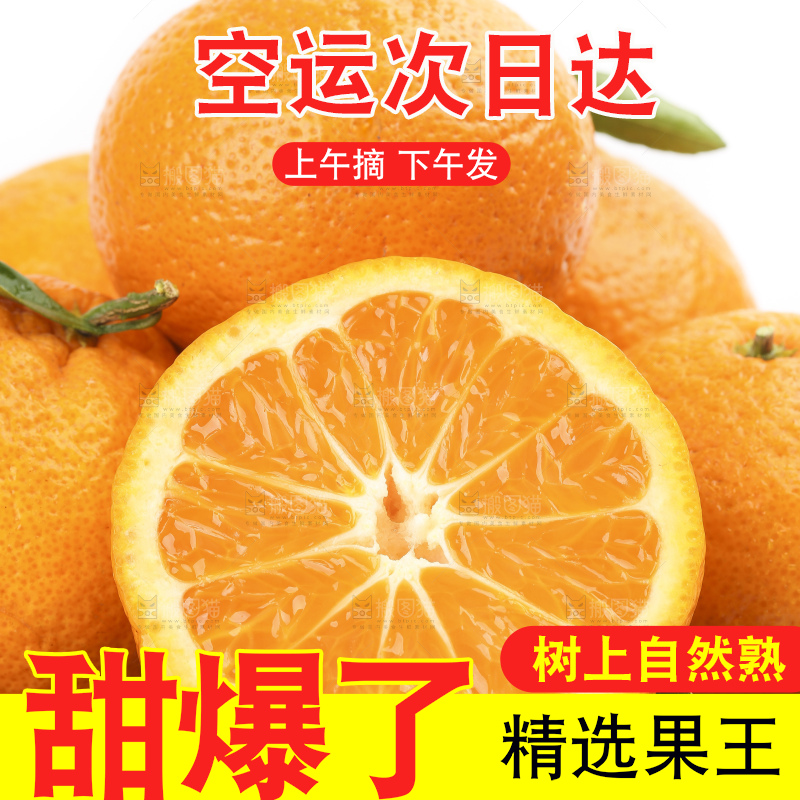 白底上的椪柑橘