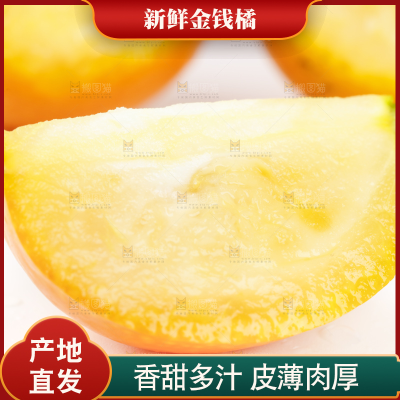 白底上的金桔