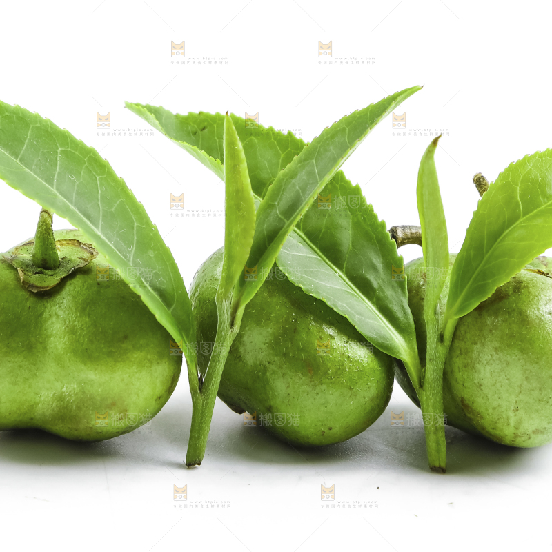 白底上摆放着茶叶子