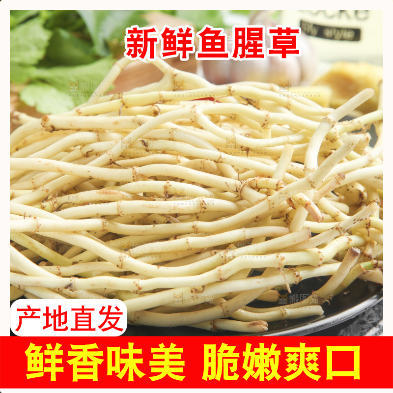 石板上放着折耳根