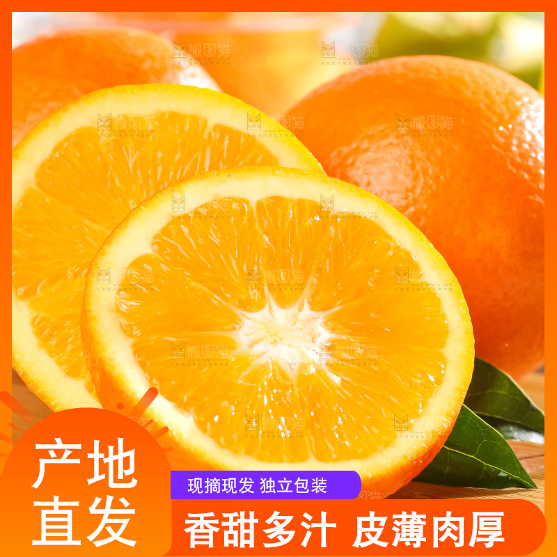 黄板子上的冰糖橙