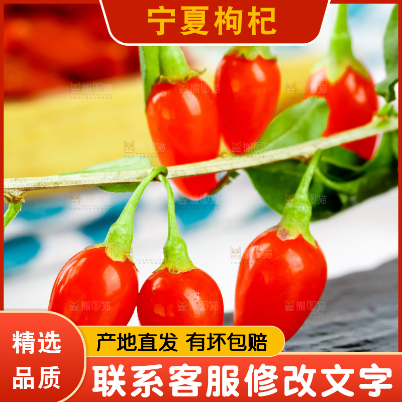 深底上放着枸杞鲜果
