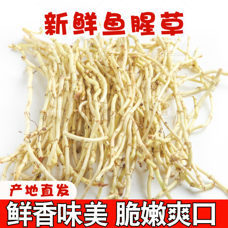 白底上的鱼腥草