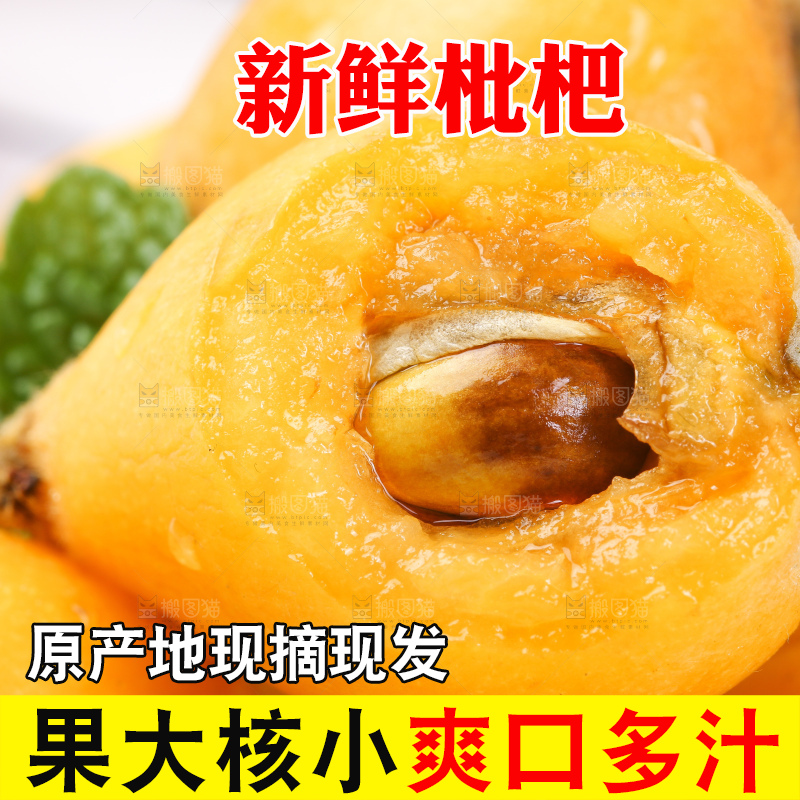 白格子底上的云南蒙自枇杷