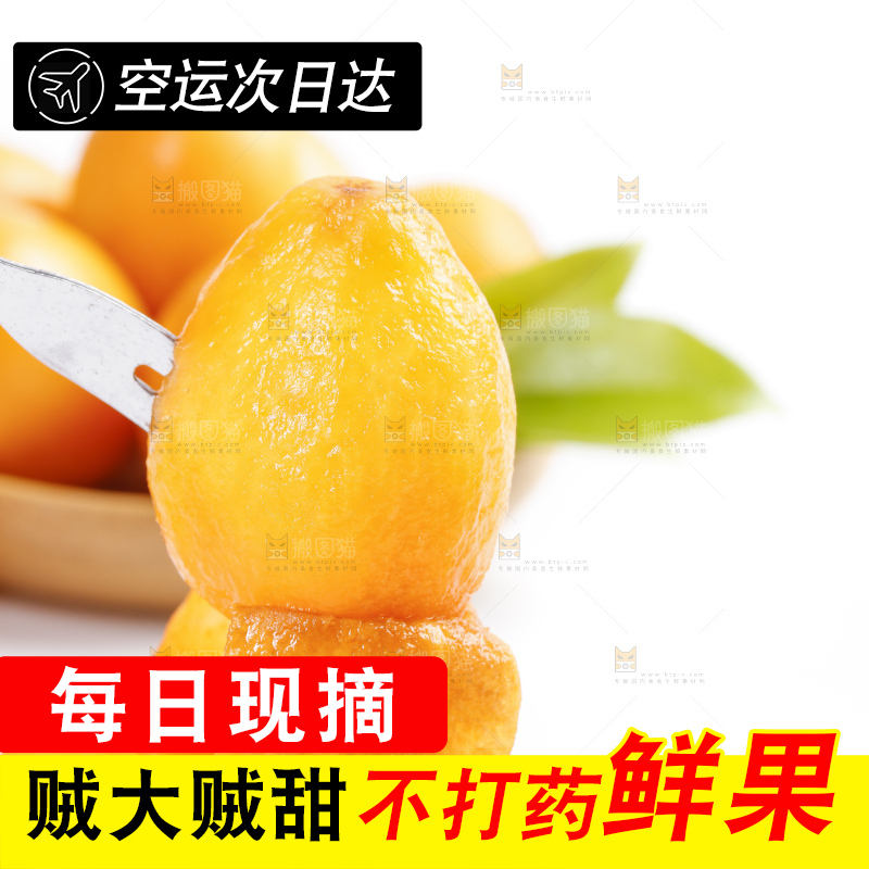 白底上的米易枇杷