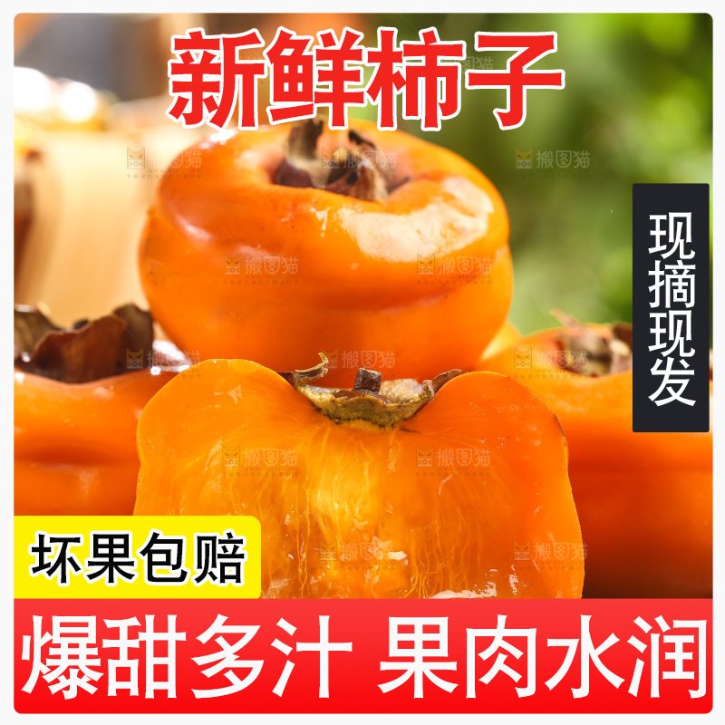 黑石板上放着易县磨盘柿