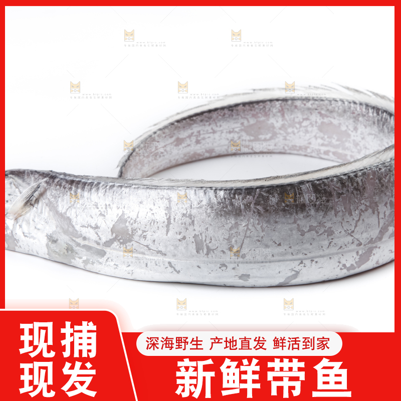 白底上放着带鱼