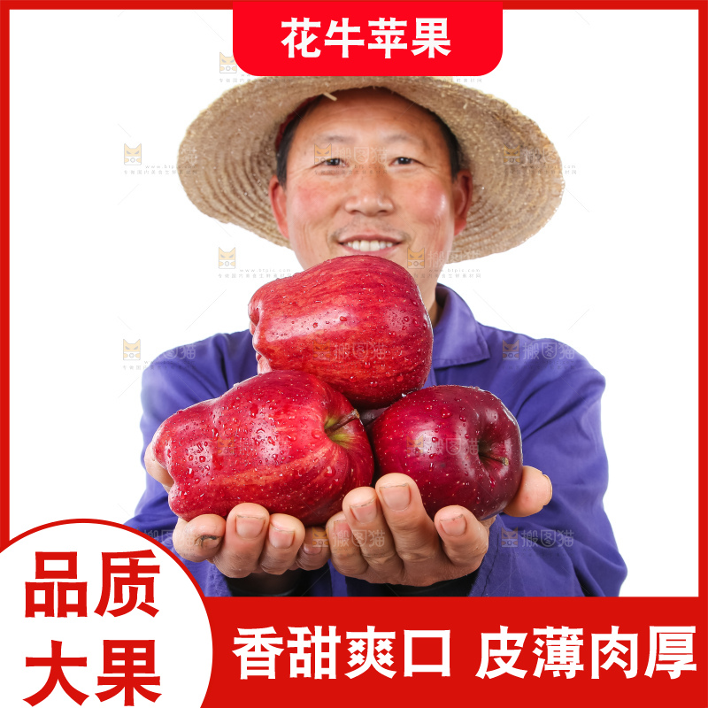 农民手里拿着天水花牛苹果