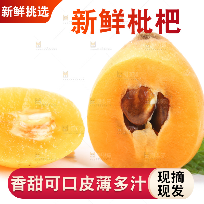 白底上的枇杷