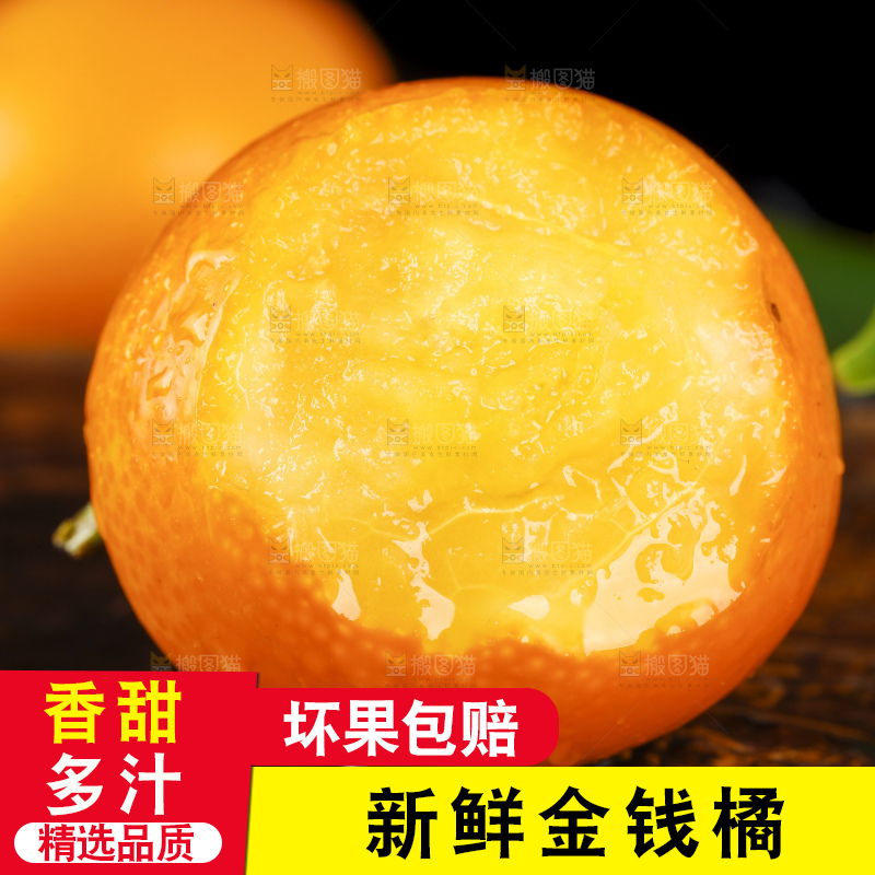 黑底上的小金桔