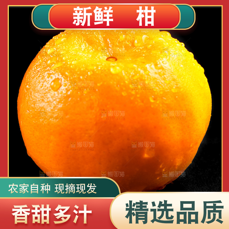 黑底上的椪柑