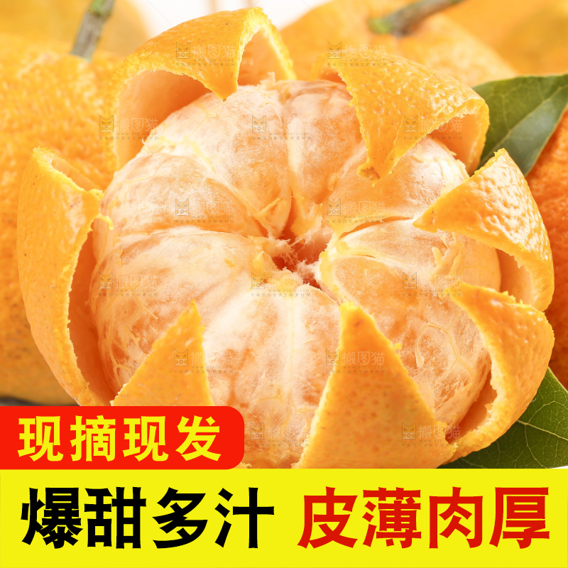 深底上放着新鲜椪柑