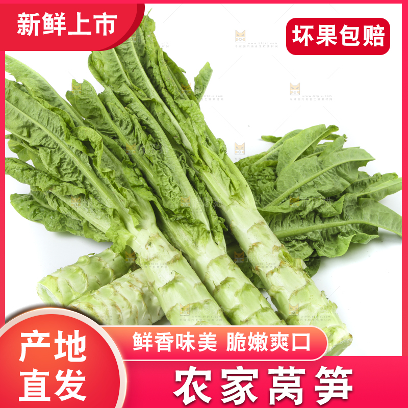 白底上的莴笋