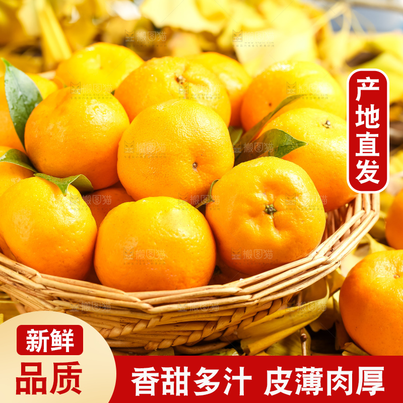 篮子里装着一篮椪柑