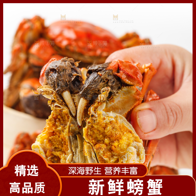 白底上的清蒸螃蟹