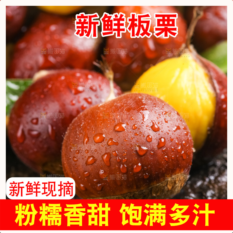 深底上的迁西板栗