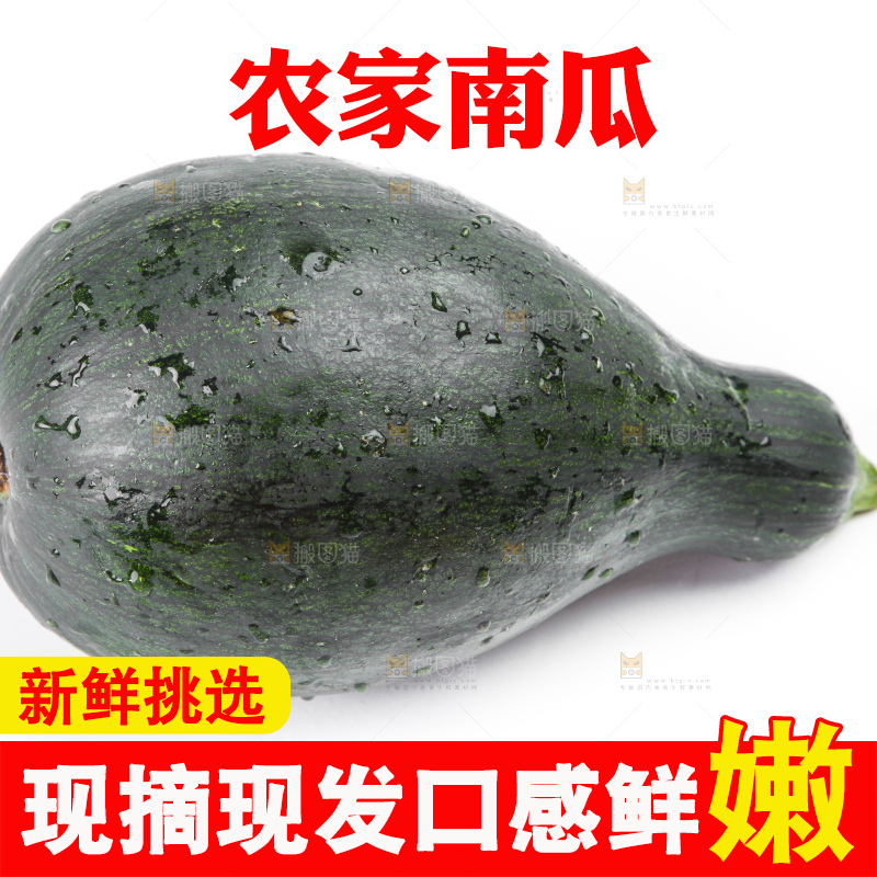 白底上的南瓜