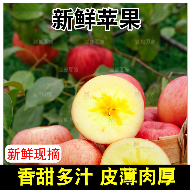 草地上放着冰糖心苹果