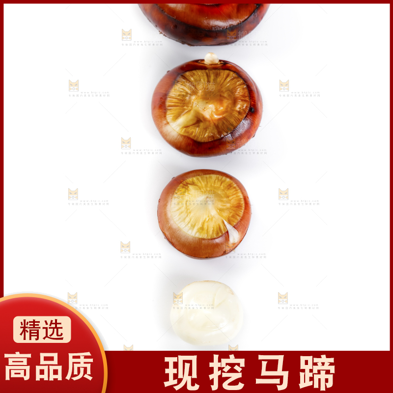 白底上的菩荠