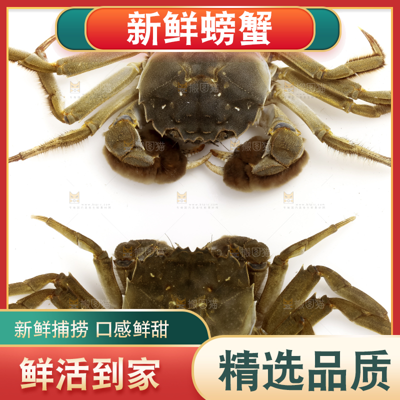 浅底上的螃蟹