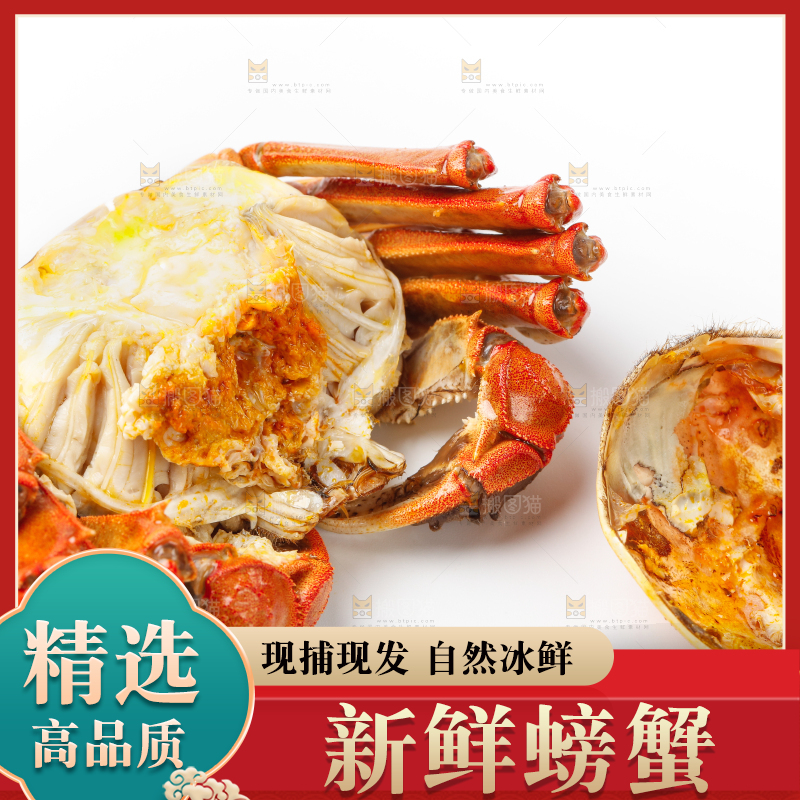 白底上的清蒸螃蟹