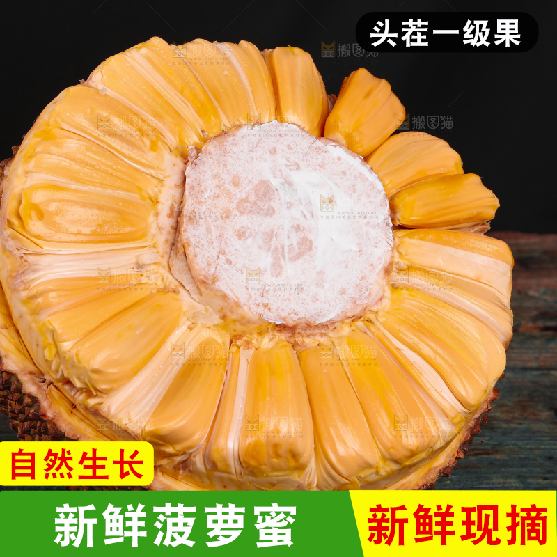 黑底上的红肉菠萝蜜