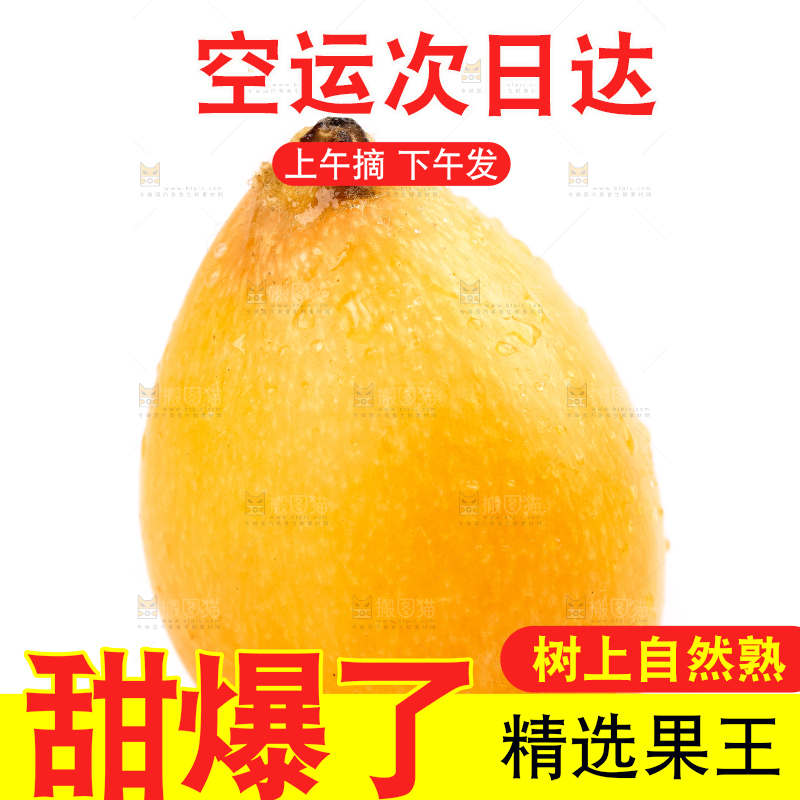 白底上放着攀枝花米易枇杷