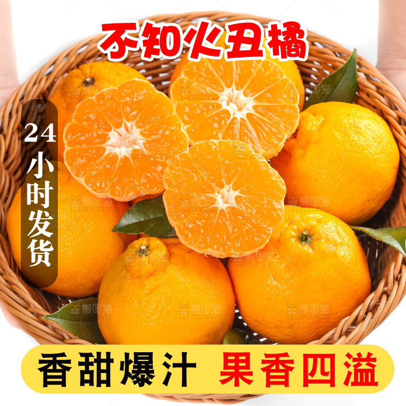 篮子里装着四川丑柑