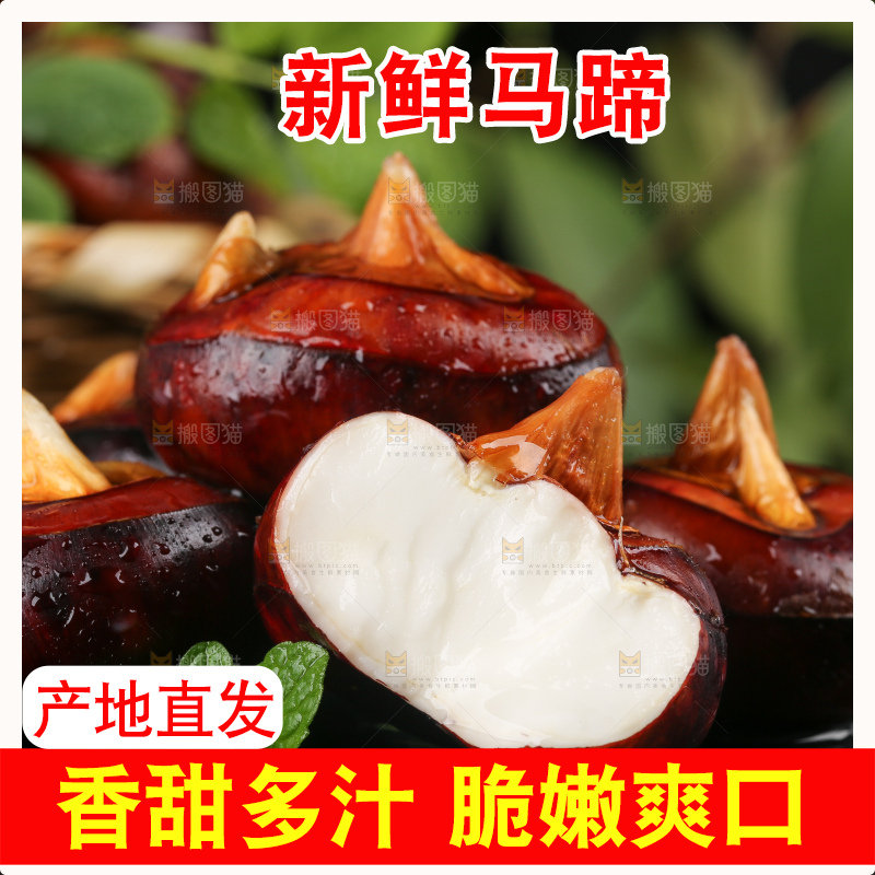 黑石板上的荔浦马蹄