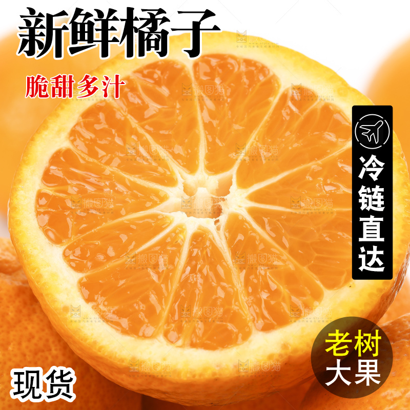 白底上的椪柑橘