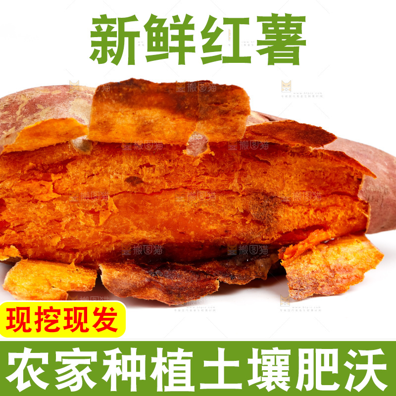 白底上的红薯