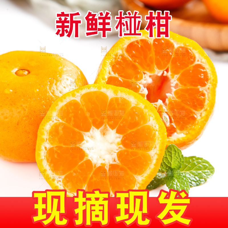白底上的永春芦柑