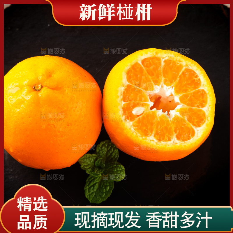 石板上的大理宾川椪柑