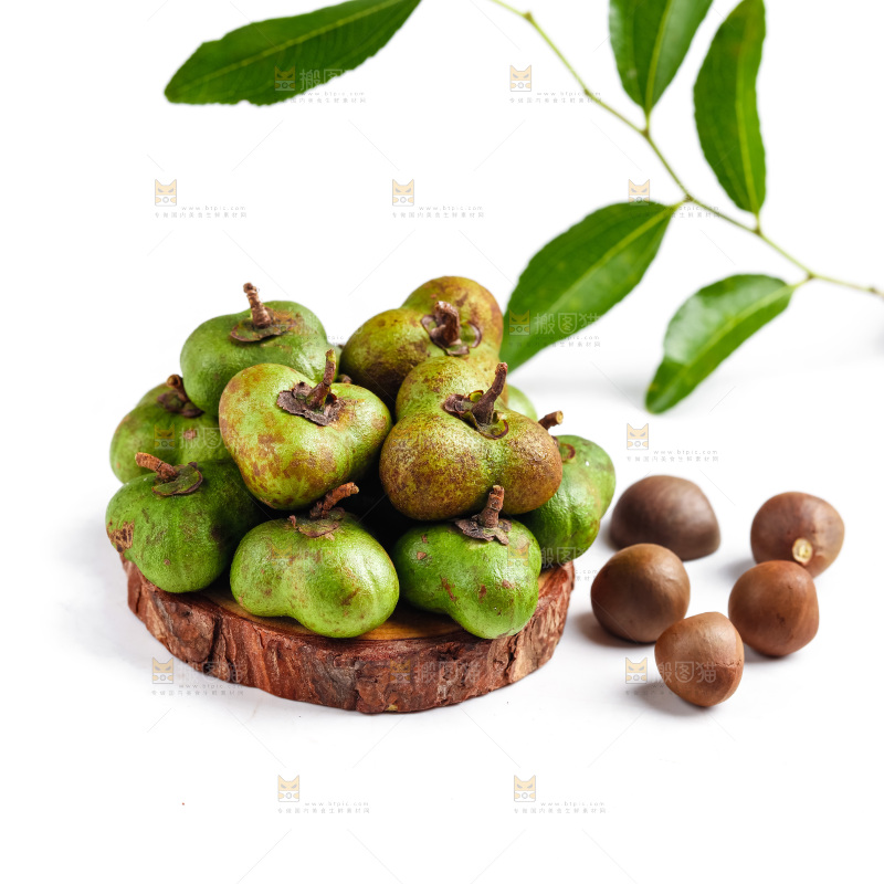 白底上放着茶树果