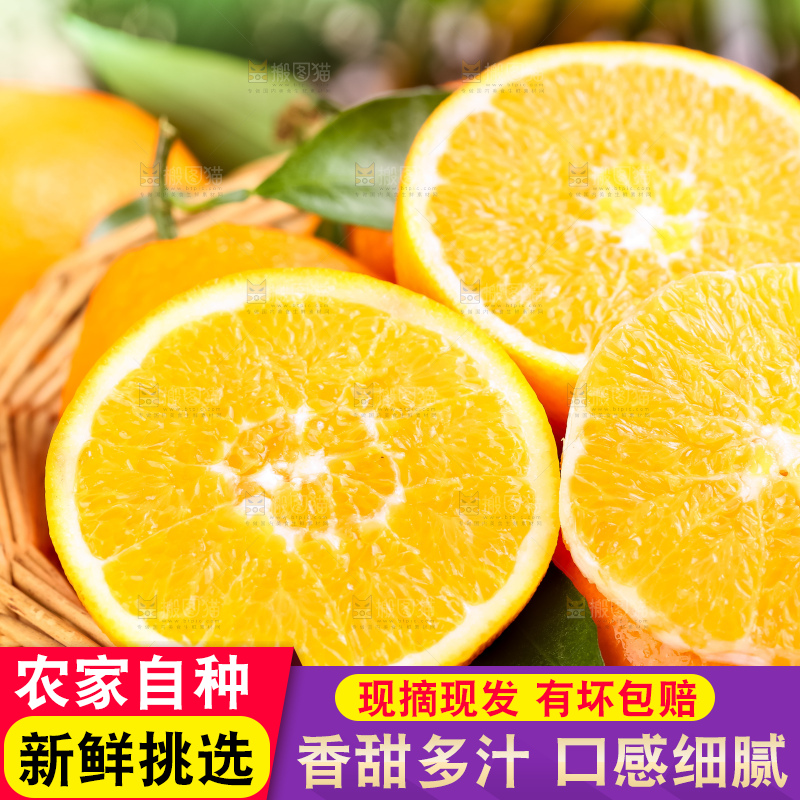 篮子里装着长虹脐橙