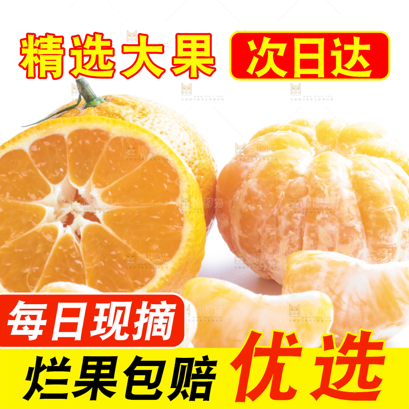 白底上摆放着四川椪柑